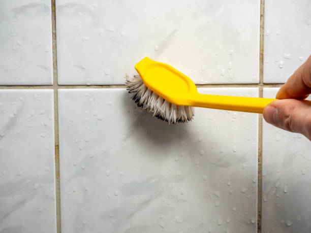 Best DIY Mold Remediation Support Services in Dickson, OK