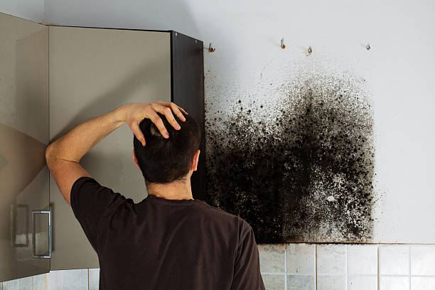 Best Post-Flood Mold Remediation in Dickson, OK